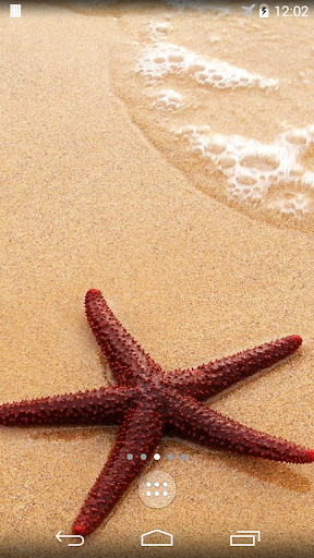 Starfish Live Wallpaper