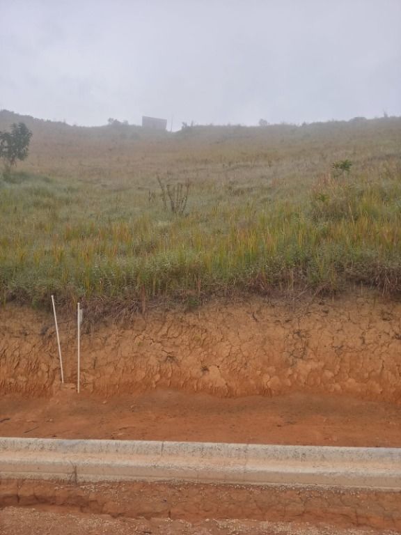 Terreno Residencial à venda em Pessegueiros, Teresópolis - RJ - Foto 3