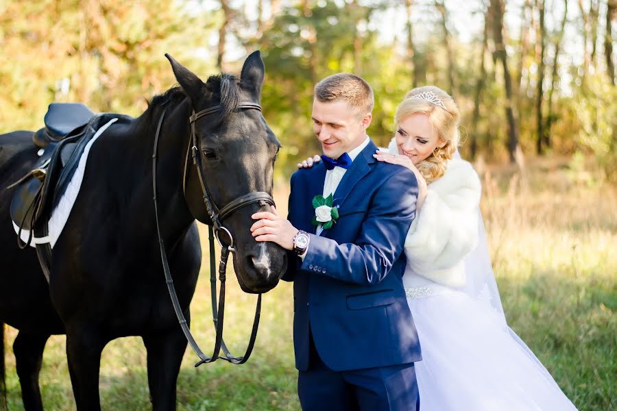 Fotógrafo de casamento Darina Aleksandrova (sdphotozh). Foto de 14 de janeiro 2016