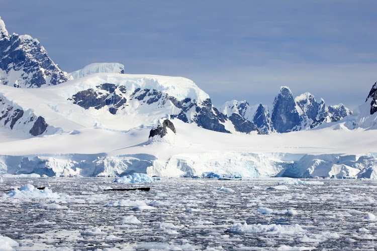 Researchers have discovered 1,600 separate green algae blooms on snow across the Antarctic Peninsula.