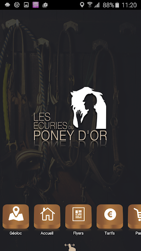 Les Écuries Du Poney D'Or