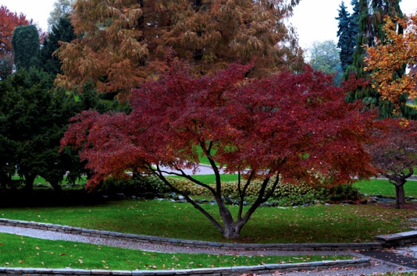 Ognuno il suo COLORE di Acamuca