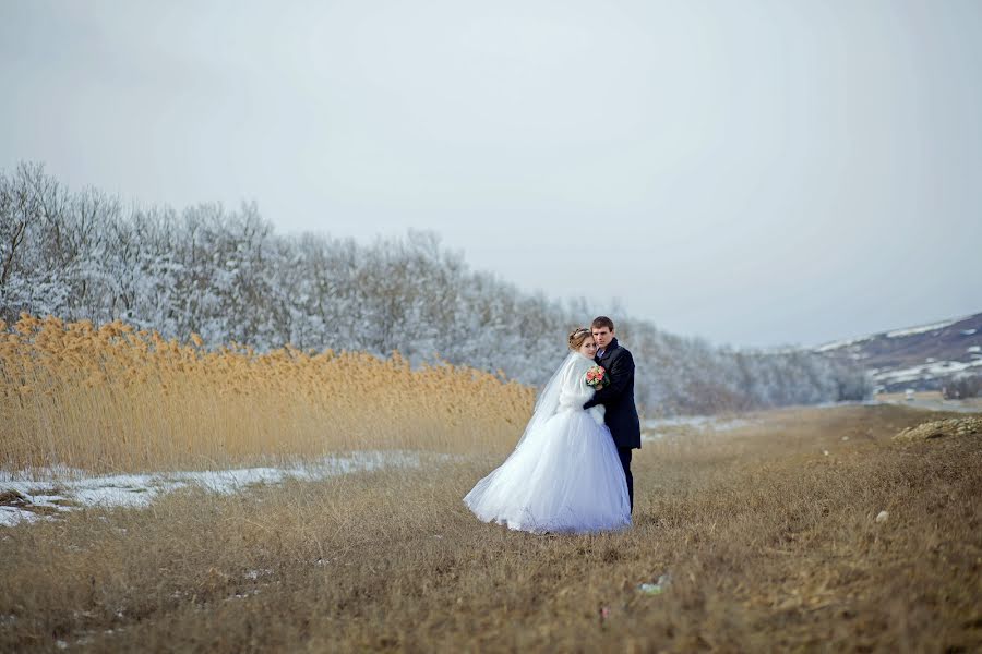 Wedding photographer Tatyana Mikhaylova (mikhailovat). Photo of 7 June 2017