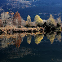 riflessi d'autunno (torbiere, lago d'Iseo) di roberto-copeta