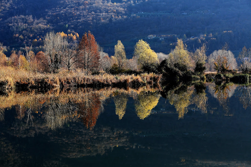 riflessi d'autunno (torbiere, lago d'Iseo) di roberto-copeta