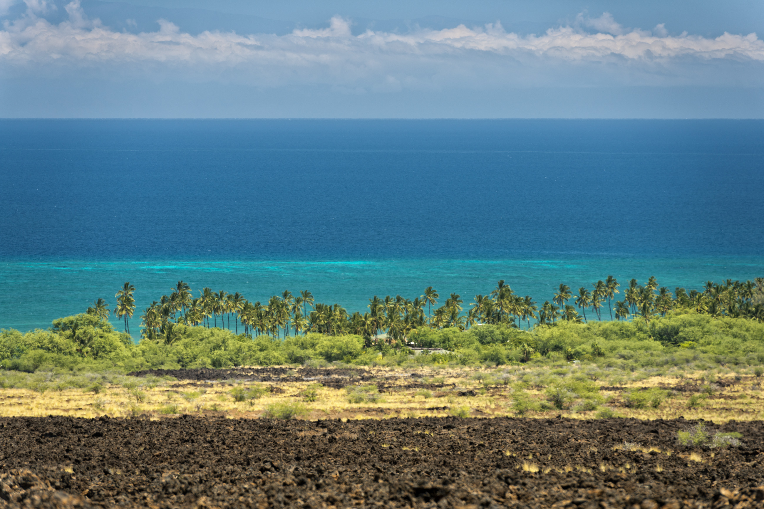 Hawaii di Andrea Izzotti