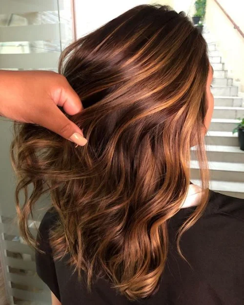 10 No-Bleach Hair Colour Ideas You Should Try! | Magicpin Blog | Magicpin  Blog