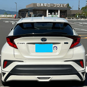 C-HR ZYX11