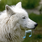 Cover Image of Download Animal and Bird Sounds 1.5.2 APK