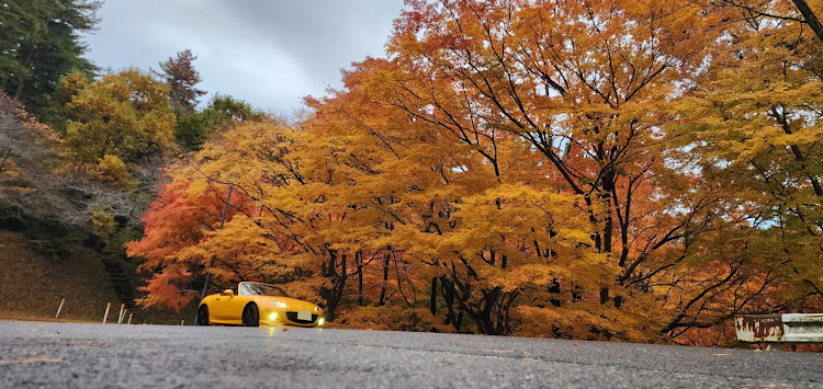 ロードスターのNC2ロードスター(≧▽≦)／・サンフラワーイエローです。(*´▽｀*)・(　-∀・)📷️✨　✨🚘️✨に関するカスタム事例の投稿画像10枚目
