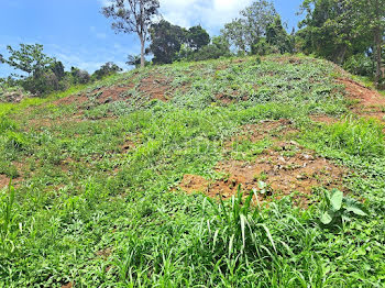 terrain à Fort de france (972)