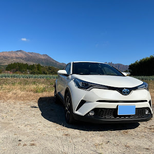 C-HR ZYX10