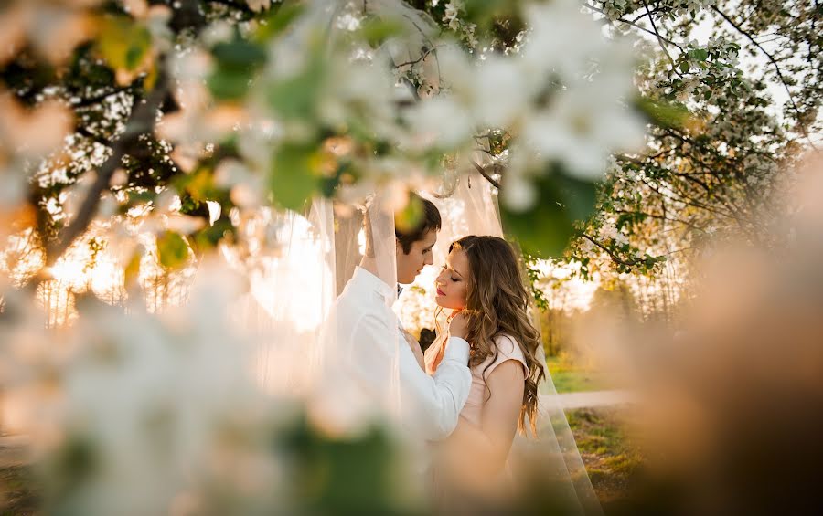 Hochzeitsfotograf Margarita Biryukova (msugar). Foto vom 15. Februar 2017