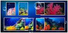 Sea Live Wallpaper by Wallpapers and Backgrounds Live APK