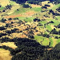 Strade nei colori dell'autunno di 