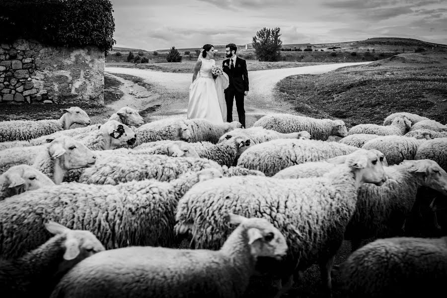 Fotógrafo de bodas David Almajano (kynora). Foto del 5 de junio 2017