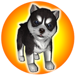 PuppyZ  Apk