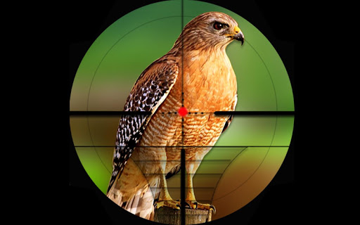 Screenshot Birds Hunting Challenge Game