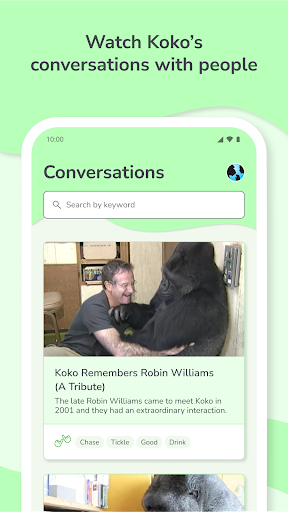 Screenshot Koko Signs