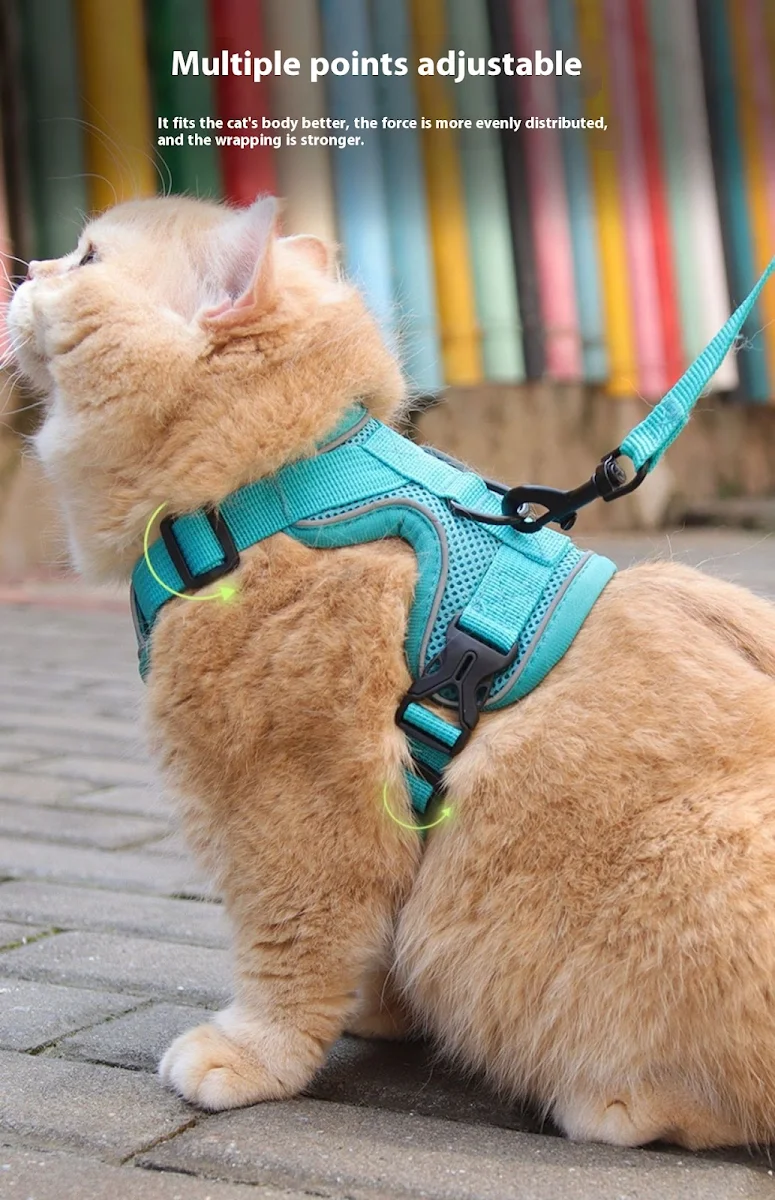 images slider number - 18