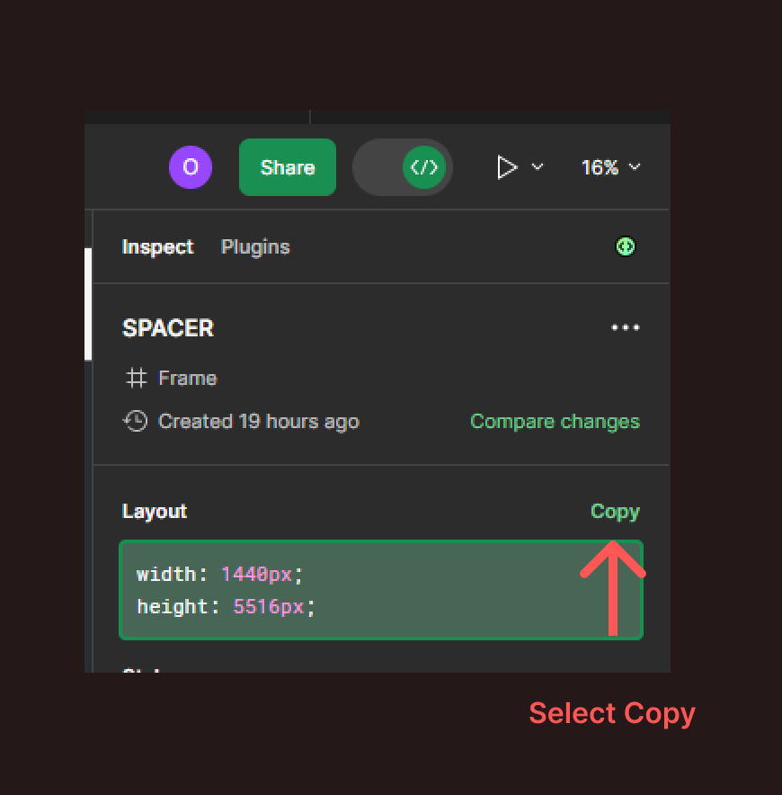 This image shows how to reveal and copy the snippet code