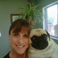 pugmom59 avatar