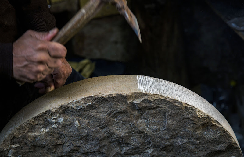 Gira la ruota! di codadilupo