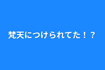 梵天につけられてた！？