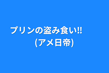 プリンの盗み食い‼︎　　(アメ日帝)