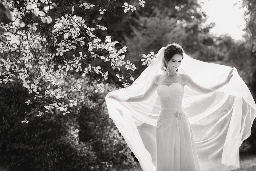 Fotógrafo de casamento Dmitriy Shemet (fotik71). Foto de 22 de junho 2016