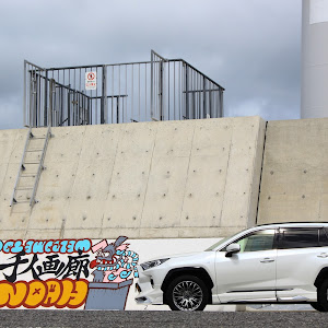 RAV4 AXAH54