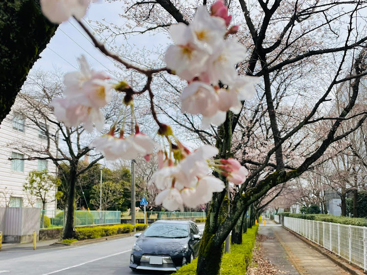 の投稿画像7枚目