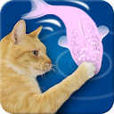 Download Friskies® Cat Fishing Install Latest APK downloader
