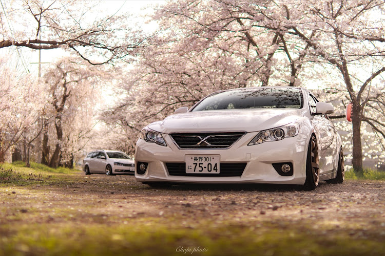 マークXのマークX・マークX 130系・マークX前期・桜とコラボ・桜コラボに関するカスタム事例の投稿画像2枚目