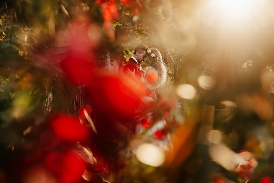 Fotógrafo de bodas Gaetano Pipitone (gaetanopipitone). Foto del 12 de febrero