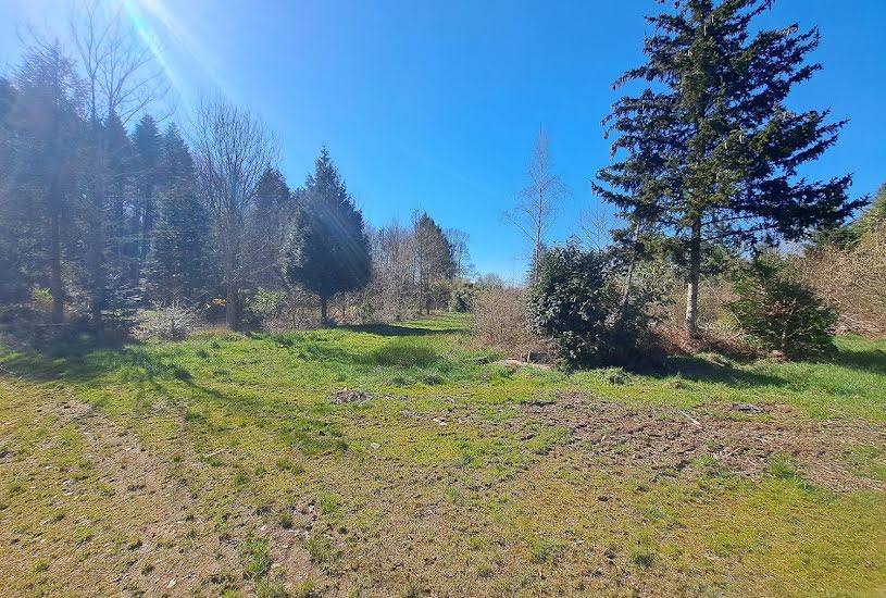  Vente Terrain à bâtir - 14 876m² à Les Forges (88390) 