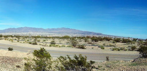 Havasu Scanner Feed