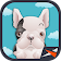 Activ Rocko Jump icon