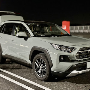 RAV4 AXAP54