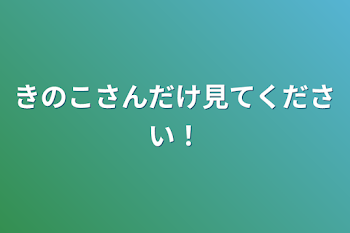 きのこさんだけ見てください！