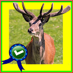 Happy Adventurer Deer Jumping Apk