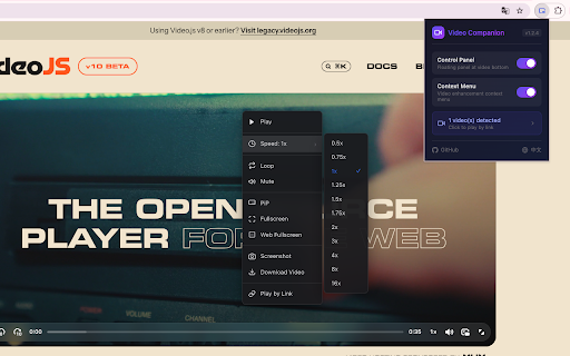 Video Companion screenshot 1