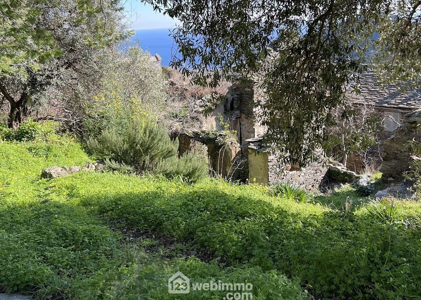 Vente terrain  433 m² à Santa-Maria-di-Lota (20200), 95 000 €