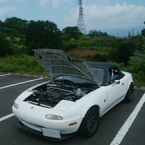 ロードスター NA6CE