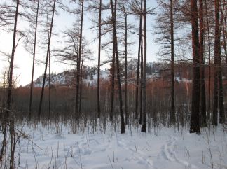 Отчет о лыжном походе 3 к. с.  по Южному Уралу