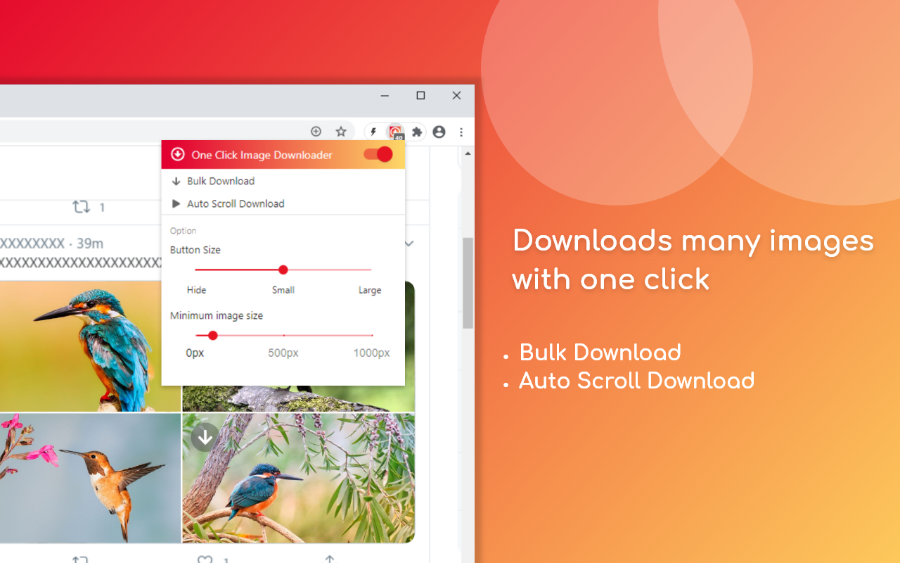 One Click Image Downloader Preview image 8