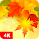 Autumn Backgrounds & Wallpapers icon