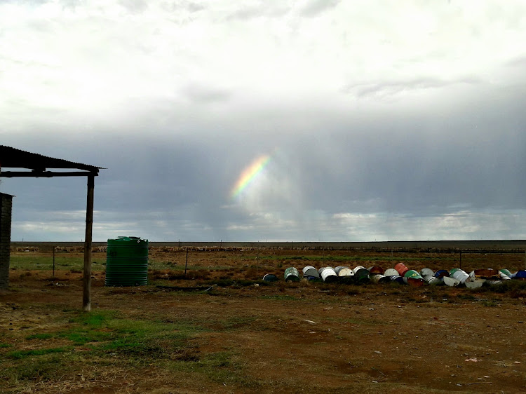 Wildebeestkuil Farm. File photo