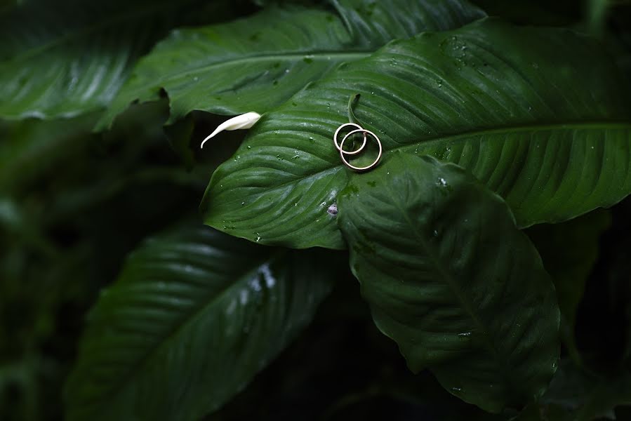 Fotografo di matrimoni Do The Quang (thequi). Foto del 26 dicembre 2018