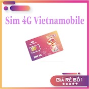 Sim 4G Thánh Hi Vietnamobile - Miễn Phí Tháng Đầu